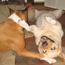 Brownie and Mia havin' a blast.