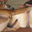 Brownie and Mia hugging.